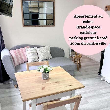 Le Badebec, Appt Dans Maison Typique Avec Jardin Prive Chinon Esterno foto