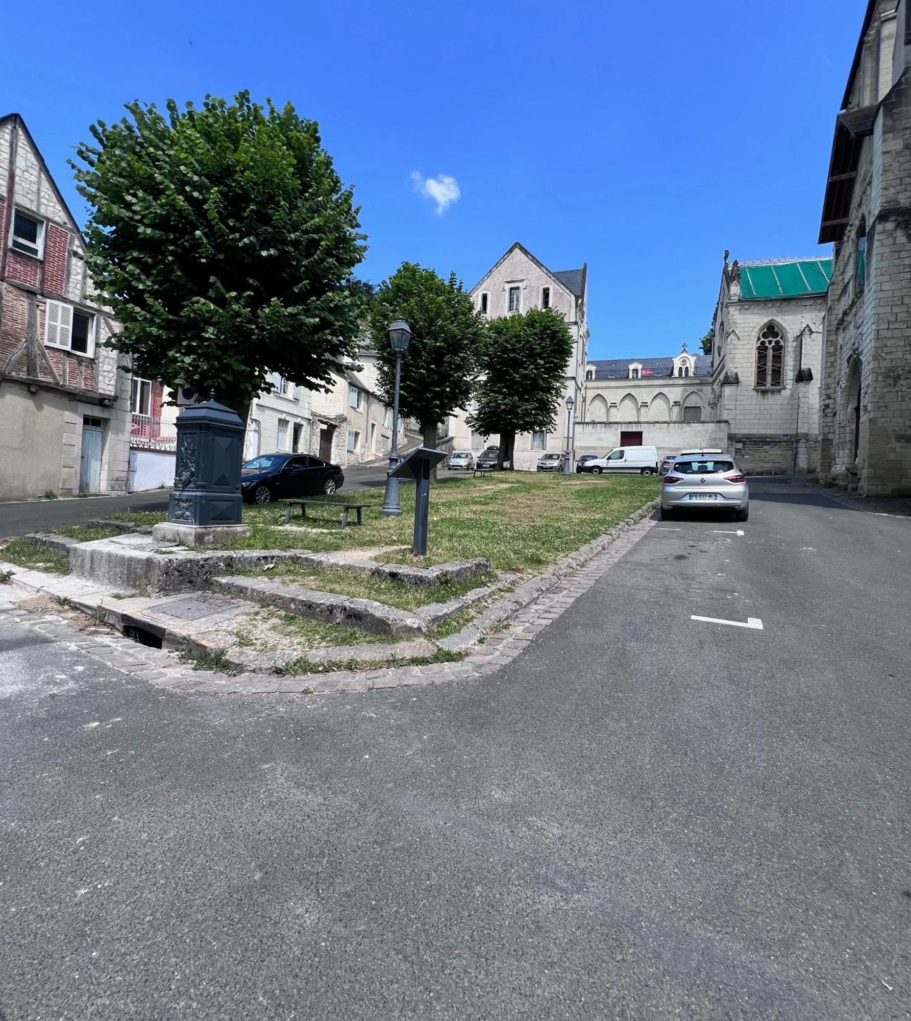 Le Badebec, Appt Dans Maison Typique Avec Jardin Prive Chinon Esterno foto