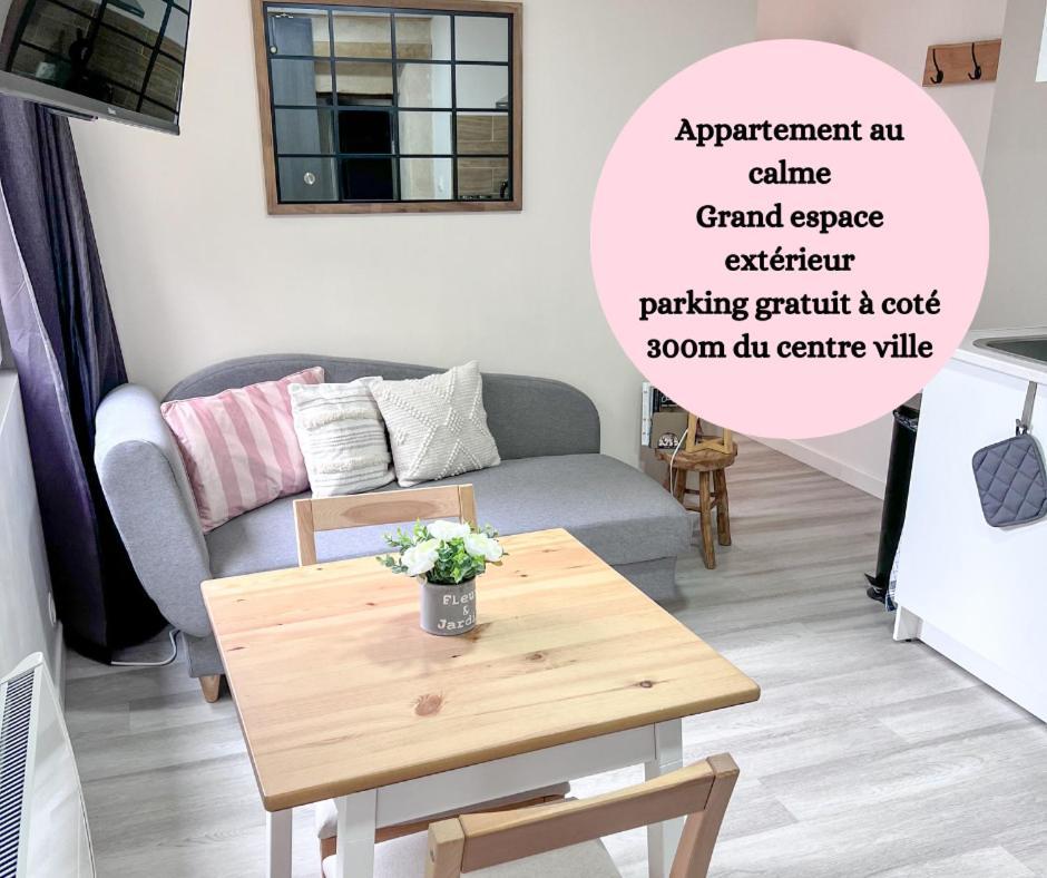 Le Badebec, Appt Dans Maison Typique Avec Jardin Prive Chinon Esterno foto